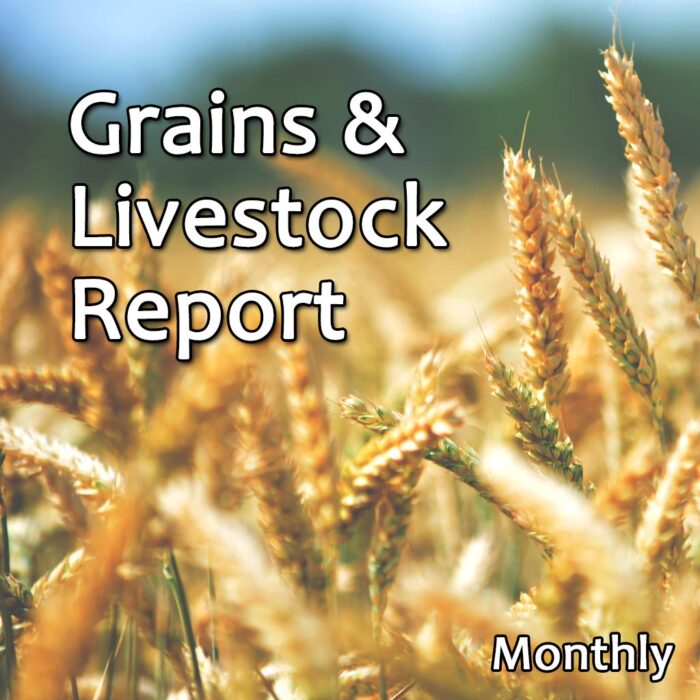 Grains-Livestock-Report-Monthly-Bubba-Trading_FEATURE