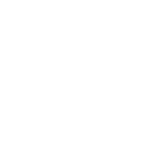 Options Trading Program LARGE